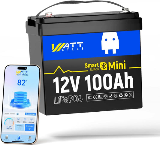LiFePO4 Batteria al litio LiFePO4 e batteria solare a ciclo profondo, 100Ah, 1280Wh, per campeggio e camper, con BMS, con Bluetooth, 12V