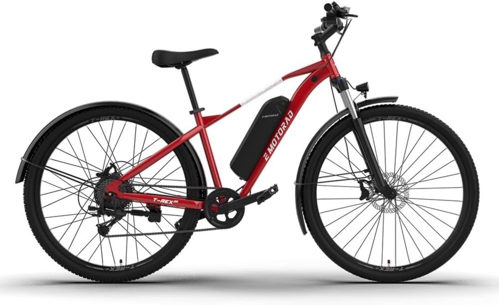 Bicicletta Elettrica da Montagna EMotorad T-Rex Air 29' con Motore 250W